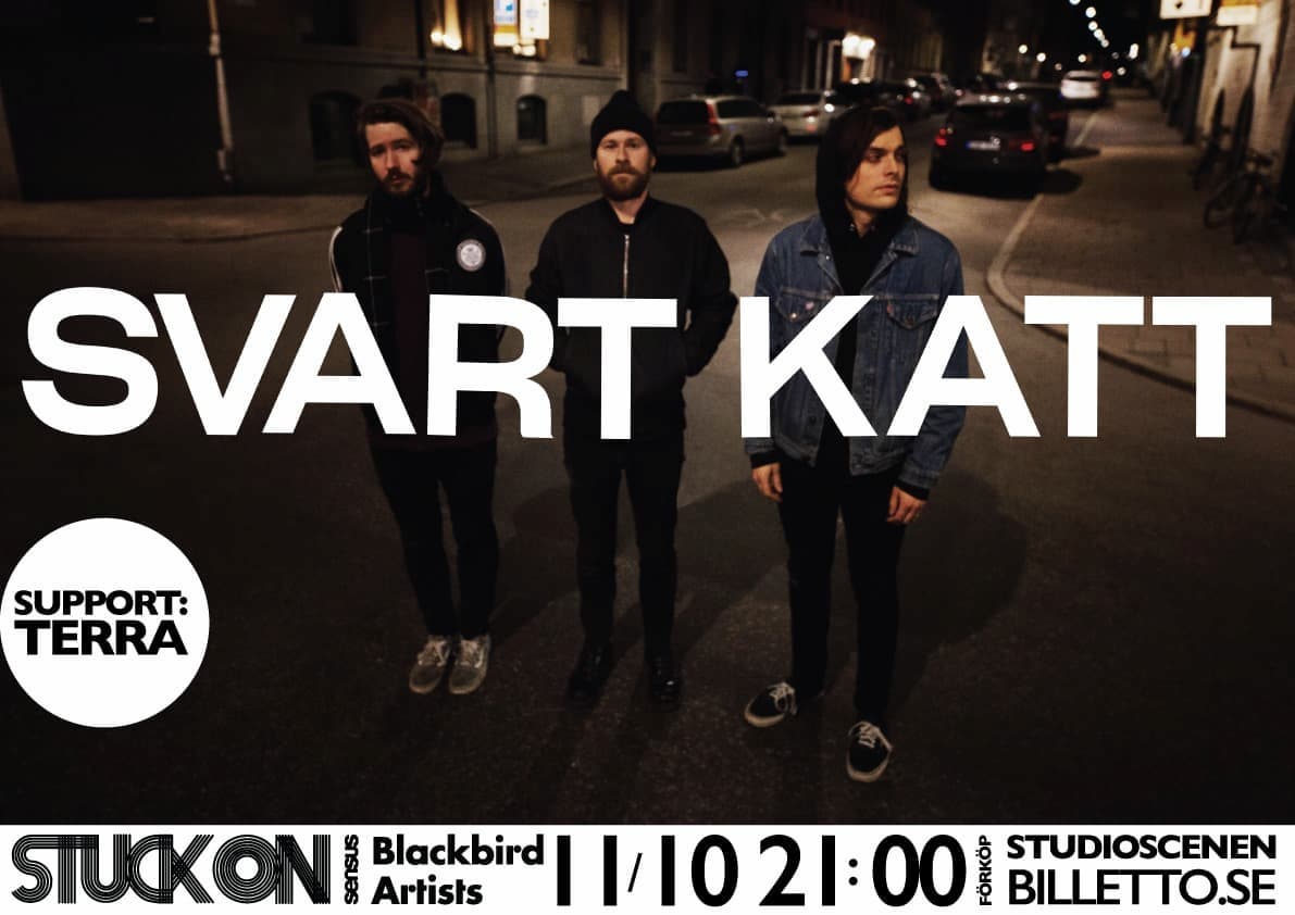 Svart Katt