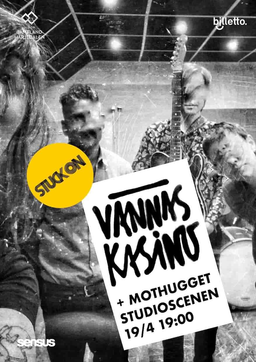 Vännäskassino